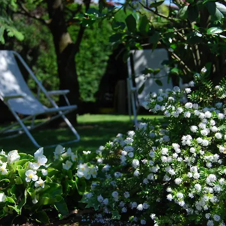 Il Viandante * Verona